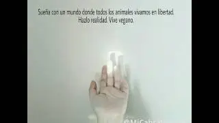 Vive vegano #vegan #govegan #micabravegana #madrid #vegana #friendsnotfood #meatismurder #love #amor