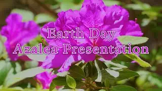 The Outer Banks Arboretum and Teaching Garden - NC Cooperative Extension Master Gardeners