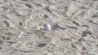 2 Times Patrick Reed CHEATED