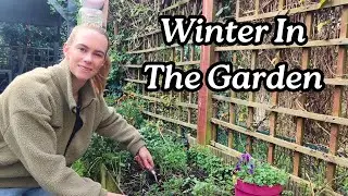 Winter Gardening: Filling the Hungry Gap