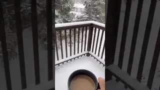 Chicagoda birinchi qor #firstsnow #amerika #amerikavlog #amrekadagiozbeklar #amerikahayoti #shorts