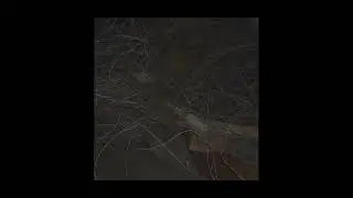[FREE] Duster x sign crushes motorist x Ethel Cain | Soft Slowcore Type Beat 