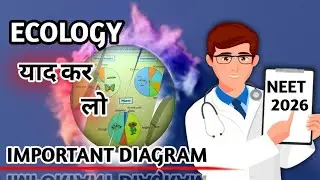 NCERT DIAGRAMS//ECOLOGY//NEET2026//NEETBiology  #NEET2026  #BiologyShorts  #NEET //