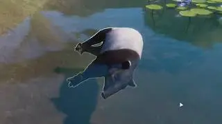 dawg what happened to my tapir