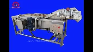 Automatic Vegetable Fruit Air Bubble Washer