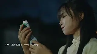 Longquan Celadon 