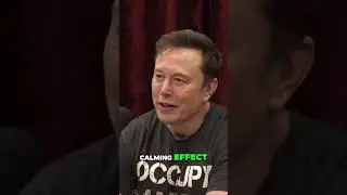 Why Video Games Are the Ultimate Stress Reliever #viralvideo #shorts #jre #elonmusk #podcast