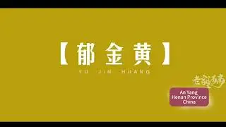 Anyang #henantourism #henan #culturalheritage