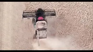 USA Pulses Harvest Video