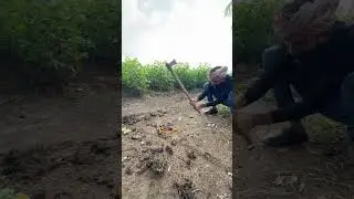 bulldozer construction damaged by farming tools #shorts