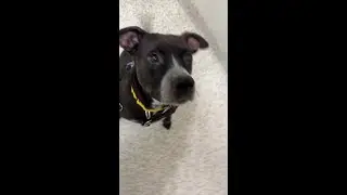 Cue the music and dust off your dancing shoes - Elle is ready to bring out her best moves💃