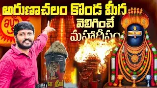 అరుణాచలంలో కార్తీకదీపం కొండ పి కి వెళ్ళి చూసారా🙏🙏🙏 #annavaramprasadam #Arunachalam #mrsurendra 