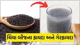 ચિયા બીજના ફાયદા અને ગેરફાયદાઓ । તકમરીયા ના ફાયદા અને ગેરફાયદાઓ | Chia Seeds Benefits In Gujarati