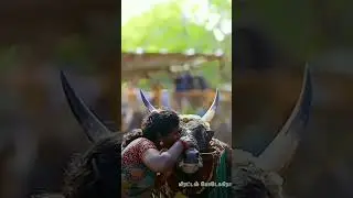 Amma❤️💯❣️#shortvideo #jallikattu #vadivasal #trending #viral #actor #amma