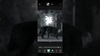 danger wolf photo editing #picsart #tutorial #viral  #shortyoutubevideo # by Raushan Mynjo Editor