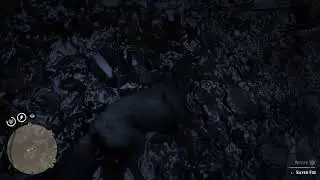 Crazy men tranq animals for money. Red dead redemption 2 online.