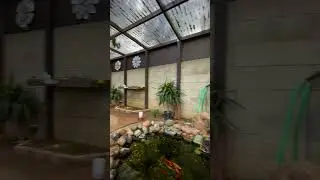 180 dagger view of the Aviary | Bird Aviary | Aviary Birds | Outdoor Aviary | Finch Aviary | #aviary