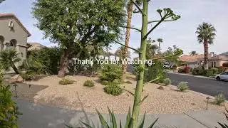 One of My First Big Landscaping Jobs | Stunning Design & Water Feature