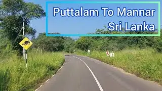 Puttalam To Mannar Most Scenic Van Ride in the World | Travel To Jaffna in Sri Lanka