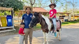 Children's activity: Horse riding lessons in Phetchaburi.