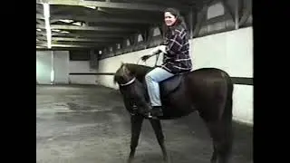 Solving Gaiting Problems with Your Tennessee Walking Horse, Part II (1998)
