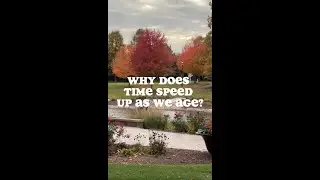 Why Does Time Speed Up As We Age?