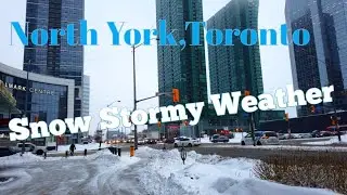 Snow Storm in Toronto | Sheppard - Yonge Neighborhood | Finch Ave West [4K]