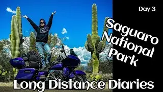 Long Distance Diaries. Road to BabesRideOut. Day 3: Riding through Saguaro National Park