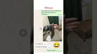 #смех #прикол