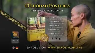New Free Online Course 💮 The Forms &ndash; 13 Luohan Postures 羅漢十三式气功 💮