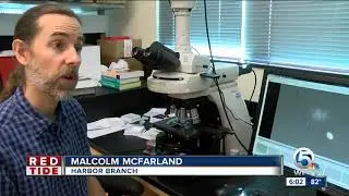 Harbor branch scientists closely monitoring red tide