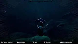 Beyond Blue: Dive 7: Amazing Ocean Explorer