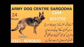 Army dance Centre Lahore fauji Dog centre Faisalabad Army doh Centre Sarvodaya