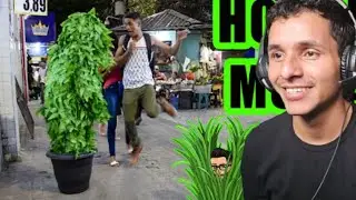 PEGADINHA do Homem MOITA