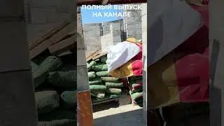 Раннее планирование