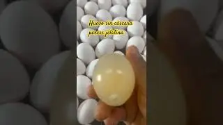 Huevo sin cascara.