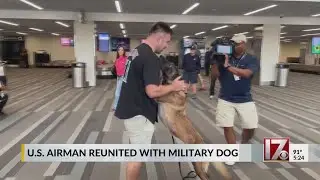 U.S. airman reunites with military dog after 2 years