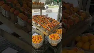 Come get some Peaches in Niagara 🍑 #niagarafalls #niagara #peaches #todotoronto #torontolife #yum