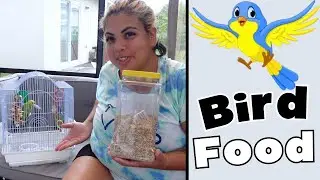 Amazon Must Have For Pets | Kaytee Supreme Bird Food