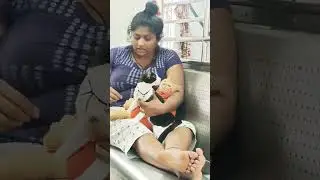 So Cute Cats With This Lady In The Train ❤️ #viralshorts #shorts #cat #minivlog