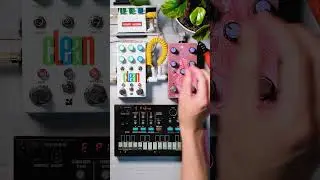 How to Create Analog Textures｜Chase Bliss Clean　#shorts
