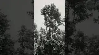 Maryr. A cold place in Pakistan💨🥶