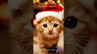 To Jest Ten Czas – Oficjalny Teledysk (Official Video 2025) 🎄🎷#święta #koledy #gwiazdka