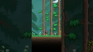 How to Date an NPC in Terraria