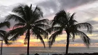 Aloha Jam October 10-13th 2024!