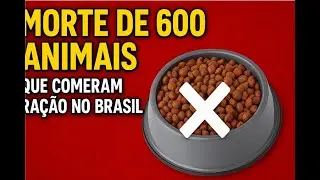 Mais de 600 animais M0RT0S no Brasil por causa de Ra&ccedil;&atilde;o | Dr. Edgard Gomes |Alimenta&ccedil;&atilde;o natural C&atilde;es