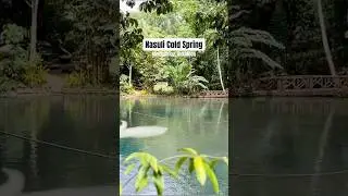 Nasuli
