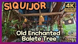 Beautiful Ambience Restaurant by Old Enchanted Balete Tree Sep  2025