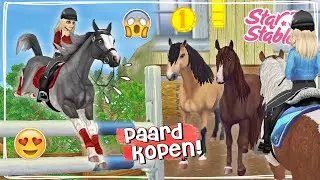 NIEUW ZELDZAAM PAARD KOPEN + NIEUWE RACE TESTEN!! 😱 - Update | Star Stable | Daphne draaft door