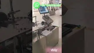 China Factory|Aluminum Bottle Cap|Rolling Cushioning Detection Packing|Fully Automatic Integration